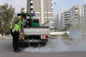 Büyükşehir Belediyesi vektörle mücadeleyi sürdürüyor