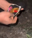 Çaldıkları altın dolu keseyi toprağa sakladılar