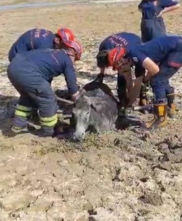 Çamura saplanan eşeği itfaiye ekipleri kurtardı