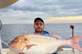 Çanakkale’de balıkçılar 12 kilogramlık mercan balığı yakaladı