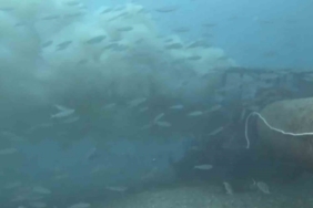 Çanakkale’de boğaza dökülen atık su ile karşılaşan dalgıç, o anları su altı kamerasıyla kaydetti