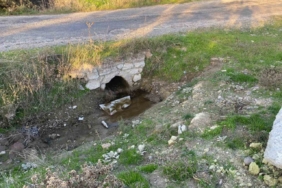 Çanakkale’de boş arazide bebek cesedi bulundu