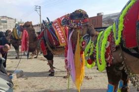 Çan’da havut giydirme hayrı düzenlendi