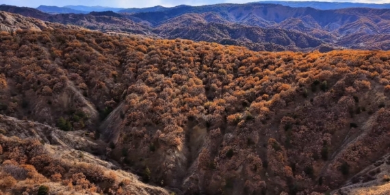 Çankırı’da mest eden sonbahar manzaraları