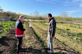 Çarşamba Ovası’nın yeni gözdesi: Salep