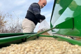 Çiftçilerin ekim mesaisi başladı, 12 bin yıllık siyez toprakla buluştu