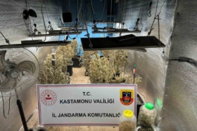 Çiftlik evlerini kenevir serasına çeviren sanıkların yargılanmasına devam edildi