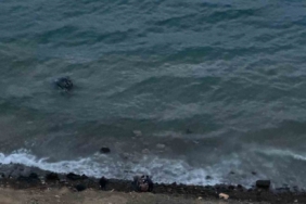 Datça’da virajı alamayan araç denize uçtu: 1 yaralı