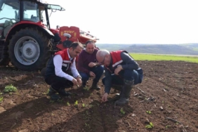 Deneme sahasından elde edilecek veriler bölge tarımına yön verecek