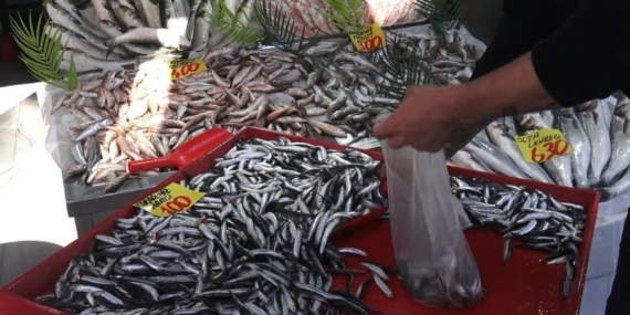 Denizi olmayan Çankırı’da 100 liraya satılan hamsi yüzleri güldürdü