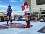 Denizli Kick Boks Galasında sporcular Filistin için ringe çıktı