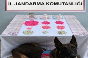 Denizli’de tacirlerine operasyon düzenlendi