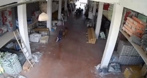 Depoya giren inek çalışanlara saldırdı: Vatandaşlar güçlükle kurtuldu