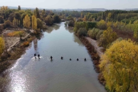 Dicle Üniversitesi’nde tedavi gören polis memuru kayboldu