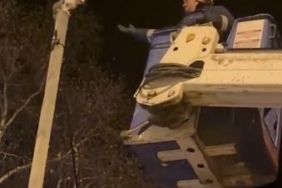 Direkte mahsur kalan kediyi Aras EDAŞ ekipleri kurtardı