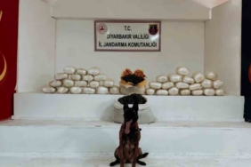 Diyarbakır’da 470 kilo skunk ve 85 kilo esrar ele geçirildi