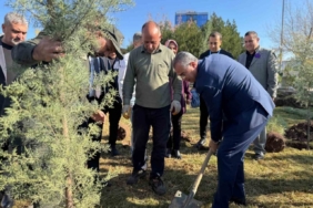 Diyarbakır’da Dünya Prematüre Günü etkinliği