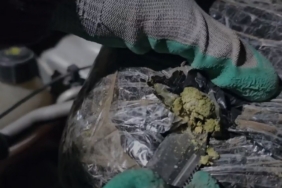 Doğubayazıt’ta 3 kilo 154 gram skunk ele geçirildi