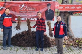 Domaniç’te çiftçilere yüzde 75 hibeli 3 bin adet ahududu fidanı dağıtıldı