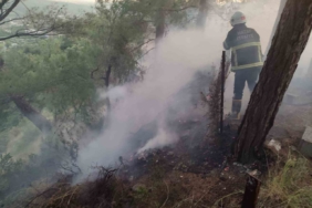 Dörtyol’da ormanlık yangını
