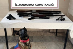 Düğün ve eğlencelerde havaya ateş açan 3 şahıs yakalandı