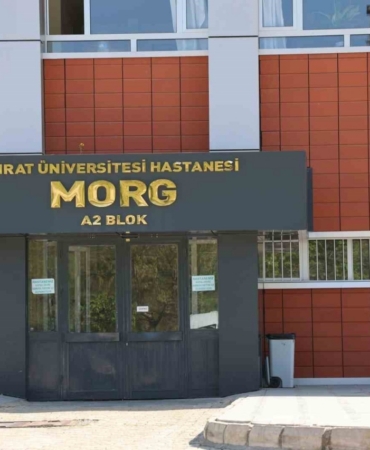 Elazığ’a üzüm almaya geldi, hayatını kaybetti