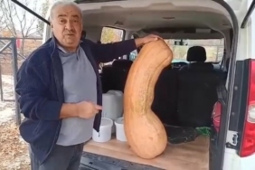Elazığ’da 47 kilogramlık 113 santimetre kabak görenleri şaşırttı