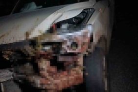 Elazığ’da kamyonet sürüye çarptı: 30 küçükbaş hayvan telef oldu