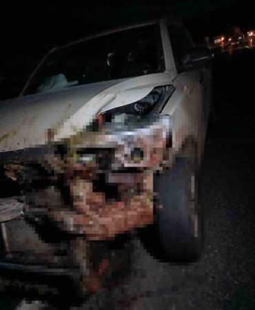 Elazığ’da kamyonet sürüye çarptı: 30 küçükbaş hayvan telef oldu