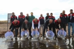 Elazığ’da Su Kaynakları Balıklandırma Projesi sürüyor