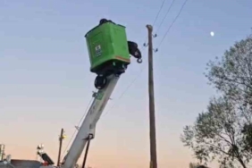 Elektrik direğinde mahsur kalan kediyi ekipler kurtardı