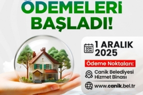 Emlak, ÇTV ve reklam vergilerinde son gün 1 Aralık