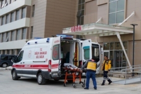 Erzincan’da üzüm bağında çalışan vatandaşa ayı saldırdı