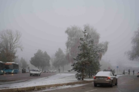 Erzurum’da araç sayısı 150 bini geçti