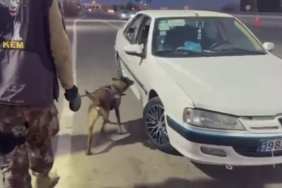 Erzurum’da araçta gizlenmiş uyuşturucuyu ’Magnum’ buldu