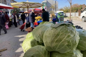 Eskişehir pazarında devasa lahanalar