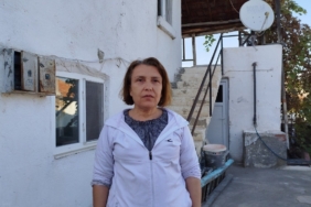 Evin çatısına yuva yapan eşek arıları hastanelik etti