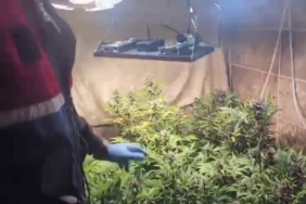 Evini uyuşturucu imalathanesine çevirmiş