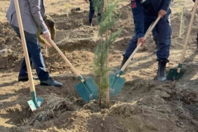 Fidanlar toprakla buluştu
