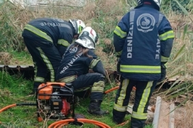 Fosseptik çukuruna düşen köpek kurtarıldı