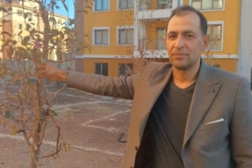 Geçen yıl kuruyan ağaçlar kasım ayında çiçek açtı