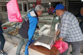 Gelibolu’da balık satış yerlerinde denetim