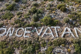 Gençler Datça’nın simgesine sahip çıktılar