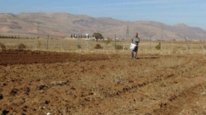 Gercüş’te çiftçiler tohumlarını toprakla buluşturuyor