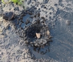 Gerede’de fabrikaların zehrini kustuğu derenin yeniden davası görülecek