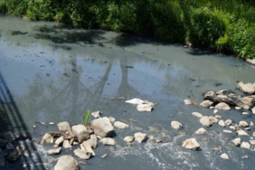 Gerede’de fabrikaların zehrini kustuğu derenin yeniden davası görülecek