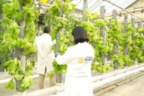 Gıda Güvenliğine ‘TENMAK’ dokunuşu