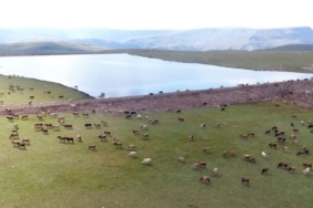 Gölet yapımında Türkiye’ye örnek olan şehir: Erzurum