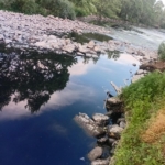 Gönen Çayı’nda ekolojik çöküş: Bilim insanlarından acil eylem çağrısı