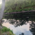 Gönen Çayı’nda ekolojik çöküş: Bilim insanlarından acil eylem çağrısı